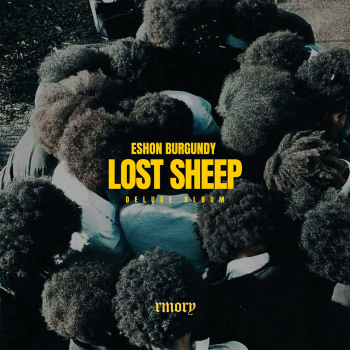 Lost Sheep Duplexe Album