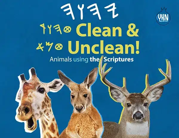 Animals using the Scriptures