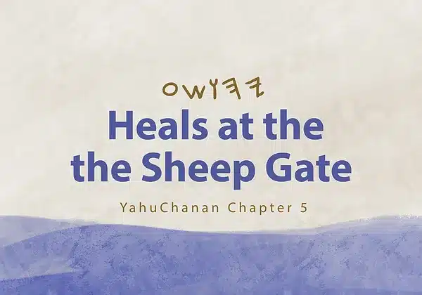 Heals at the Sheep Gate